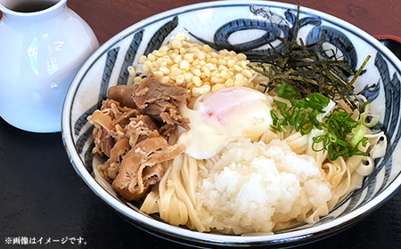 潤生うどん８食入り - 麺 800g 饂飩 国産小麦 麺類 乾麺 早茹で つゆ付 つるつる もちもち 潤い 再熟成 こだわり 製法 ざるうどん 冬 温うどん 一年中 楽しめる 人気 おすすめ 熊本県 甲佐町 肥後そう川