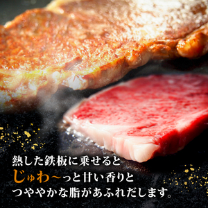 【 黒毛和牛 】 サーロインステーキ 1.8kg 定期便 3回 600g ステーキ