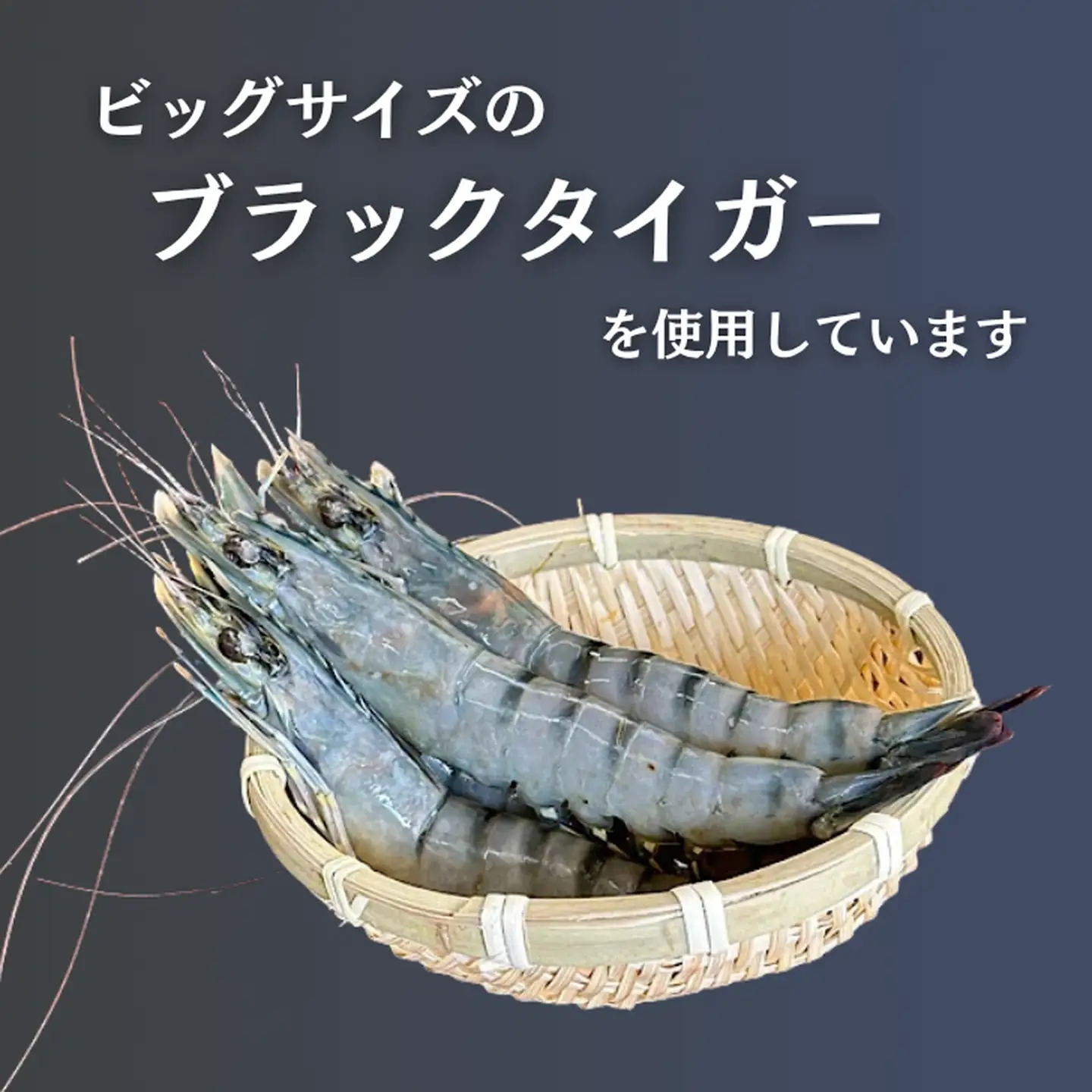 エビフライ 老舗鮮魚店 8本セット ぷりぷりエビフライ：A090-024