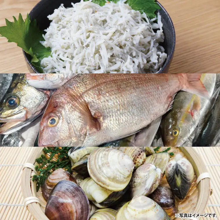 大洗地魚とれたて市クーポン券 5,000円分 (1,000円分×5) 地魚 鮮魚 活魚 朝獲れ 魚介類 漁協 大洗産 大洗 チケット_BQ018