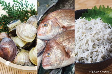 大洗地魚とれたて市クーポン券 10,000円分 (1,000円分×10) 地魚 鮮魚 活魚 朝獲れ 魚介類 漁協 大洗産 大洗 チケット_BQ019