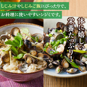 漁師直送！宍道湖産ヤマトシジミ・Mサイズ冷凍2.4kg