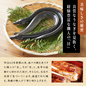 食事券 川豊 うな重 肝吸い セット 1名様 うなぎ 国産うなぎ チケット 券 ギフト券 ペア ペアチケット