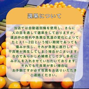 有田みかん 早生S～Lサイズ混合 約600kg【2026年発送 先行予約】