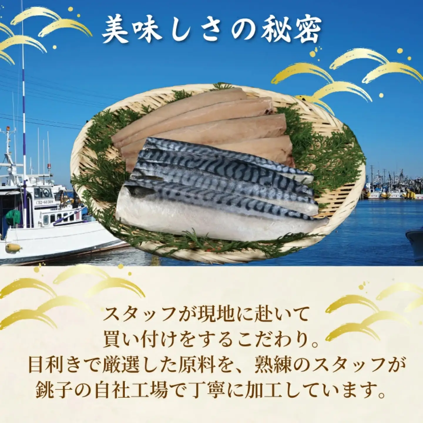 訳あり 塩サバ 2kg ＼ サバ ／