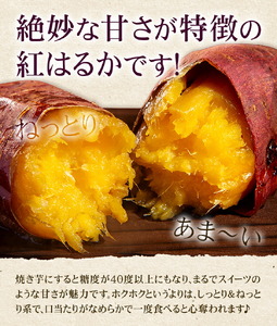 訳あり 紅はるか 約10kg 2S～3L混合 株式会社Foody’s 《90日以内に発送予定（土日祝を除く）》熊本県 菊池市 訳あり さつまいも 芋 紅蜜芋 焼き芋 野菜 菊池市産 熊本県産 九州産