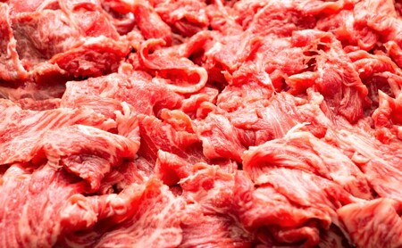 定期便 6ヶ月 博多和牛 A4ランク以上 訳あり 切り落とし 400g 牛肉 肉 6回 ※配送不可:離島