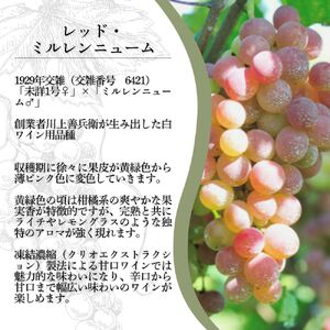 ワイン 岩の原ワイン レッド・ミルレンニューム 12本 720ml 希少ぶどう品種 甘口 お酒 希少 ぶどう 岩の原 新潟 上越 最短3日で発送 お届け：7日以内にお届けします。