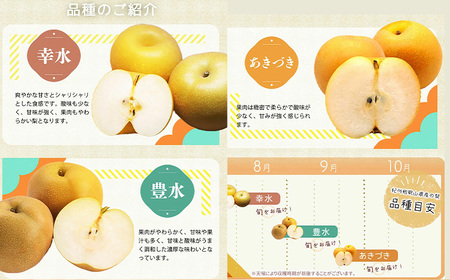梨 紀州和歌山県産の梨 約2kg