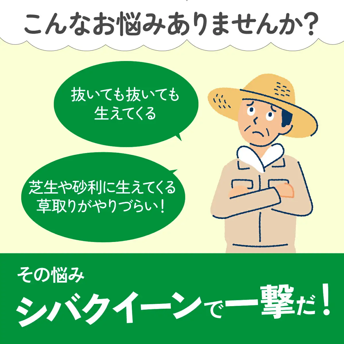 シバクイーン(芝生用の草取り鎌) 3本セット_雑貨   _【1578891】