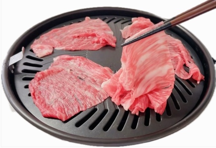 松阪牛 うす切り焼肉 （ モモ ・ バラ ・ カタ ） 800g ／ 冷凍 瀬古食品 松阪肉 ギフト箱入 名産 ブランド 霜ふり本舗 牛肉 お肉 肉 和牛 黒毛和牛 国産 国産牛 ブランド牛 焼肉 焼肉用 ギフト 贈答 産地直送 松阪 牛 赤身 脂身 三重県 大台町 (415)