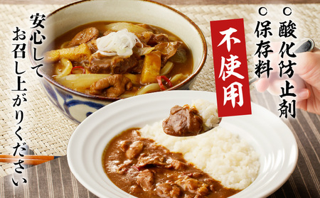 鳥市Kitchen特製 こだわり の 煮込みカレー 5個セット T065-001 惣菜 総菜 加工食品