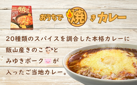 「おうちで焼きカレー」・「信州味噌入り野沢菜キーマカレー」各１箱合計２箱セット（Ai-001）