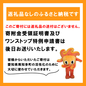 【 返礼品なしの寄附 】愛知県南知多町 応援寄附金 5,000円