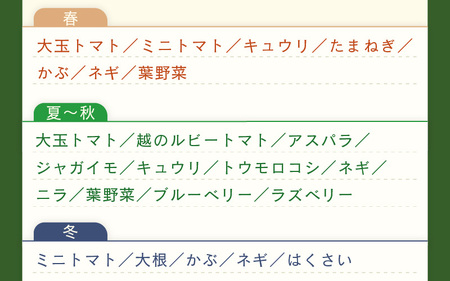 定期便 ≪12ヶ月連続お届け≫ 川合農園もっちゃん季節のお野菜お届け箱 ～季節の野菜や果実を毎月7品種前後お届けします！～ 【野菜 やさい 野菜セット 詰め合わせ おまかせ 新鮮 旬 定期便 12回 産地直送】 [K-7501]