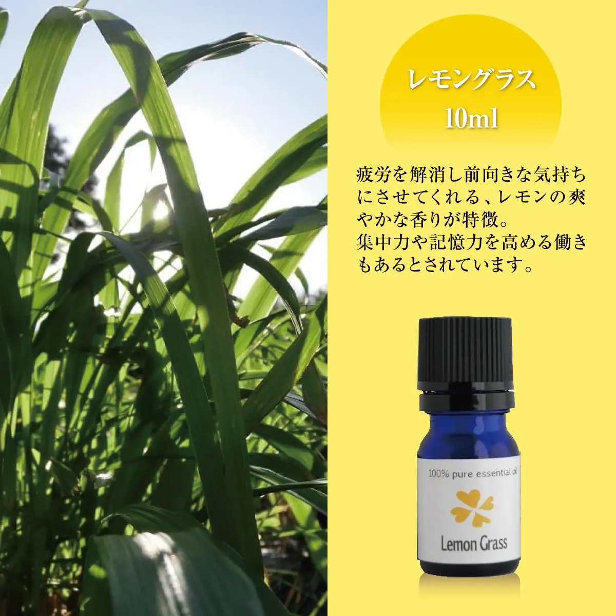 国産精油　レモングラス　エッセンシャルオイル　10ml   