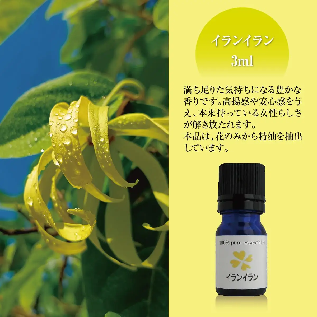 国産精油　イランイラン　エッセンシャルオイル　3ml   