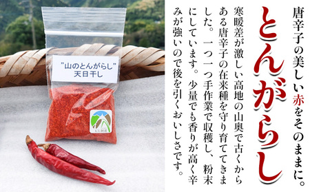 とんがらし 4袋 約20g×4袋 西村農園