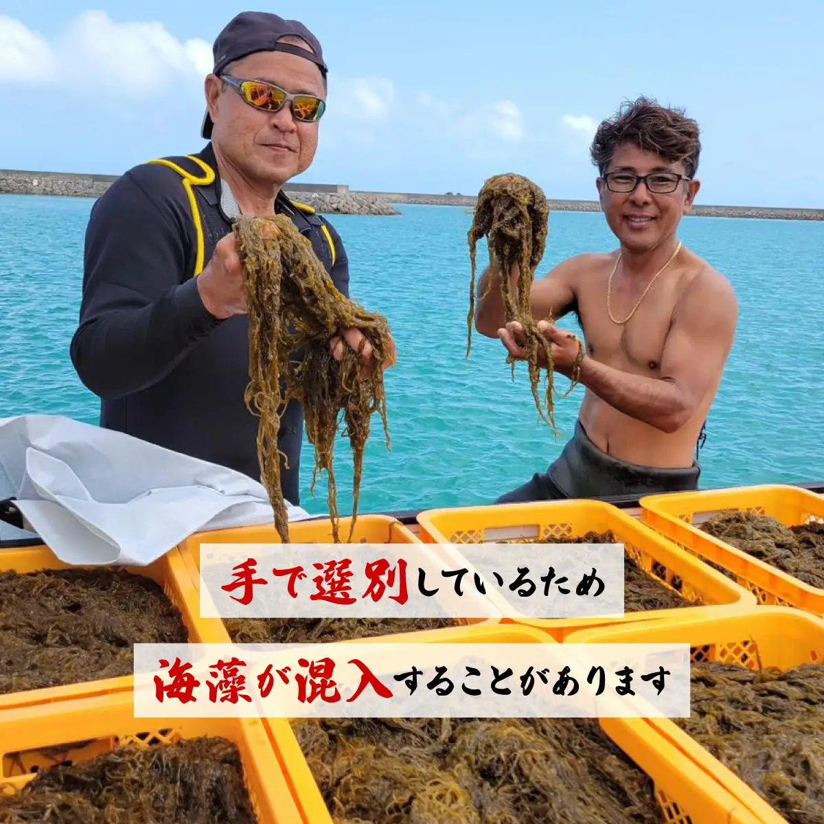 もずく（塩蔵）