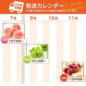 ≪先行受付≫ 【2026度年発送】山形豊作フルーツ人気Ｂ【定期便全3回】 060-T03
