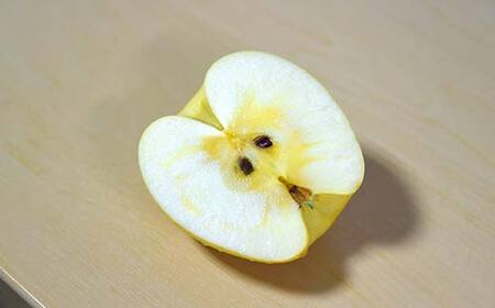 《先行予約2026年度発送》 りんご はるか 2kg(5～8玉) 秀品 果物 フルーツ FSY-1391