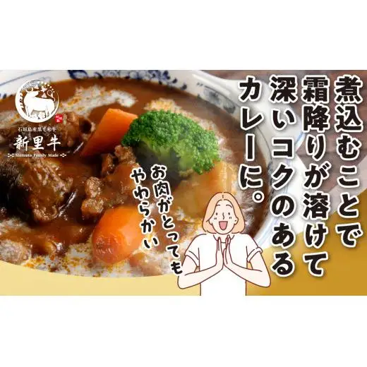 石垣島産 黒毛和牛 新里牛 　煮込み用贅沢角切り（500g×2） 合計1kg以上 　SZ-44