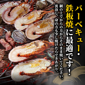 伊勢海老 800g 冷凍 ハーフカット 伊勢海老