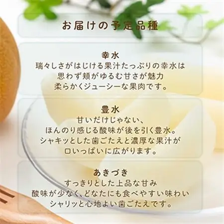 先行予約!　旬の梨　極上秀品(中玉～大玉)6～8個入り　2026年8月中旬頃から発送【配送不可地域：離島】【1576603】