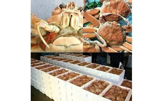 【ボイル】鳥取県産 セコガニ 訳あり 良品 2kg ）| セコガニ 訳あり活 足1本  不揃い たっぷり ※2026年11月上旬～12月下旬頃に順次発送予定