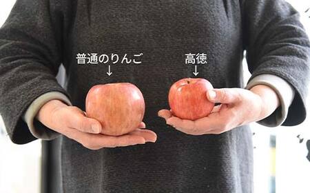 《2026年発送 先行予約》 蜜入り りんご 高徳 1kg(5～7玉) 秀品 山形県産 ギフトBOX入り 果物 フルーツ FSY-2719