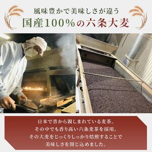 麦茶 ティーバッグ 100パック 麦茶