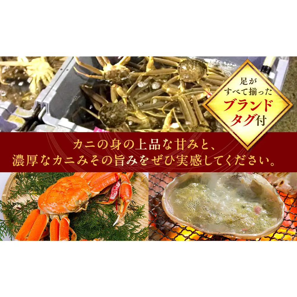 【ボイル】タグ付き 松葉ガニ  特大1枚（900g～1kg前後）  | 松葉 カニ 訳あり活 特大 美味しさに 訳あり 不揃い でないたっぷり 【着日指定不可】　※2026年11月上旬～2027年3月下旬頃に順次発送予定