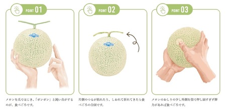 a16-148　メロン 温室 アローマ 果物 ハウス 白等級 1玉 GABA