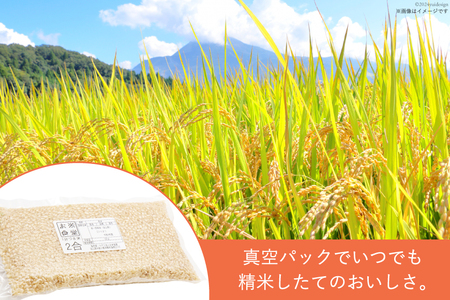 一分づき 玄米 900g 【真空包装】[お米食堂 富山県 舟橋村 57050194]