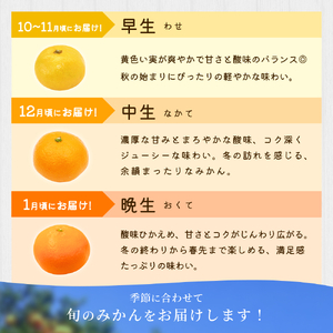 みかん【訳あり】 森本農園 約6kg 【2026年10月中旬～2027年2月中旬ごろに順次発送】【BV90009-mrmt009】