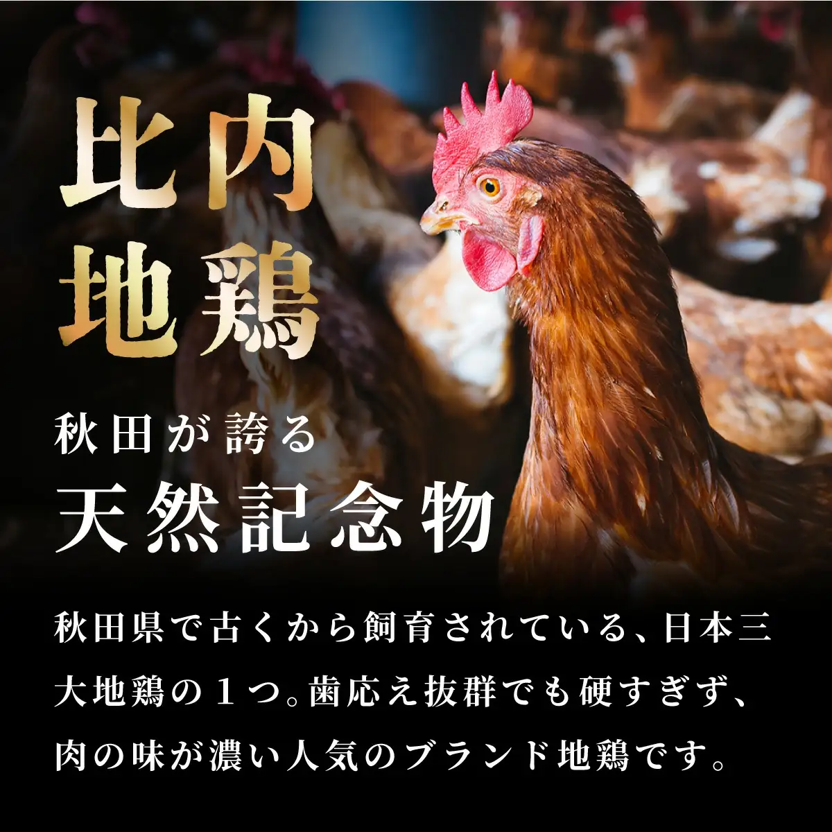 割烹の缶詰 比内地鶏もつ煮とレバーペースト3個のセット　50P2834
