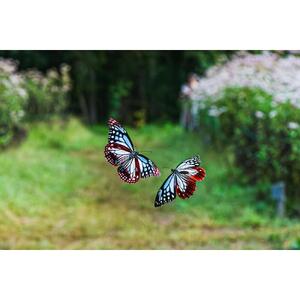 【数量限定】シングルモルト 駒ヶ岳 アサギマダラの里 2024 700ml ウイスキー