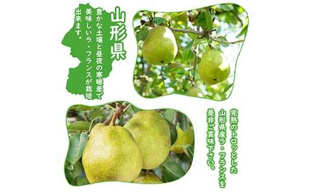 《令和8年産先行受付》※数量・期間限定※ 山形県産ラ・フランス 秀品 3kg 8玉～14玉前後 なし ナシ 梨 デザート フルーツ 果物 くだもの 果実 食品 山形県 FSY-2641