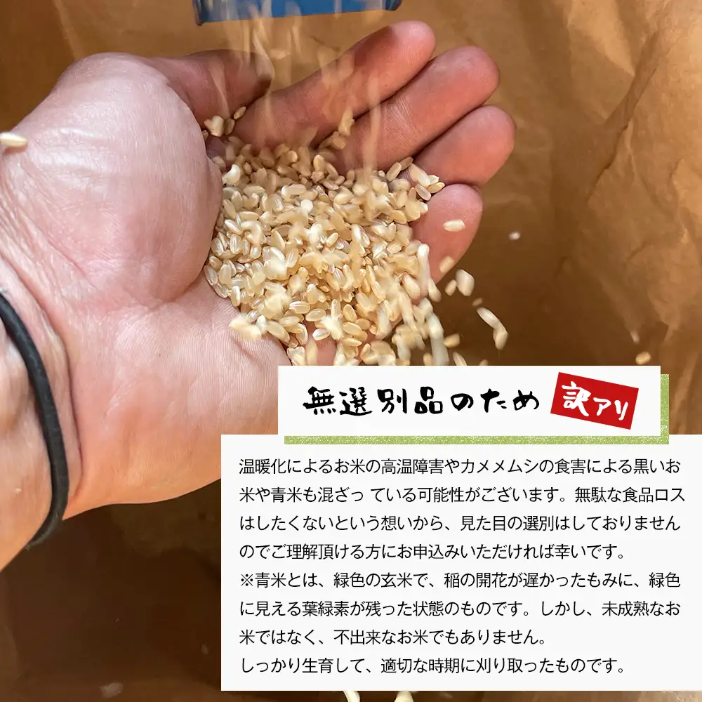 自然栽培　コシヒカリ（玄米）　5kg 《無選別品のため訳アリ》