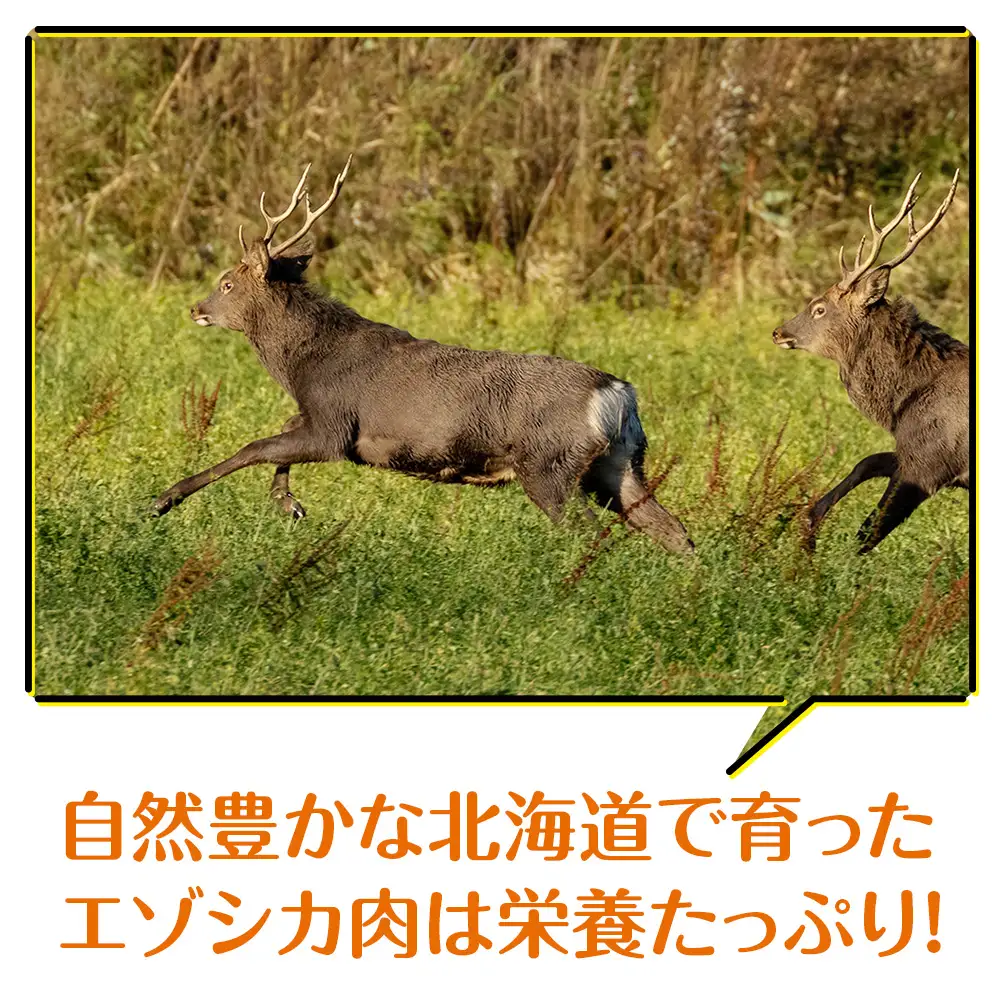犬 おやつ 鹿肉 無添加 国産 エゾシカ 肉 100％ クッキー 320g (40g×8)