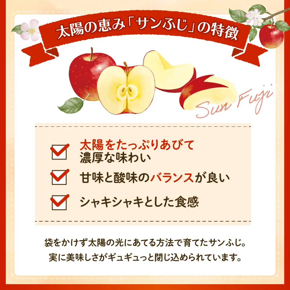 【2026年産】 りんご 「 サンふじ 」 2kg りんご