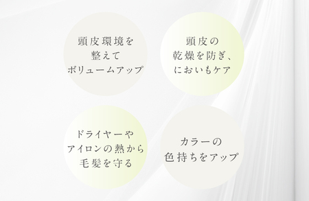 プテロマルチミスト ミスト _OS058-0002