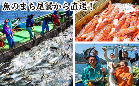 地魚のお刺身盛合せ(約25切) 　マグロ まぐろ 鮪 天然 鯛 タイ かんぱち 勘八 グレ ぐれ サザエ さざえ えび エビ 海老 海鮮 魚貝類 魚介類 刺身 刺し身 旬の刺身 手軽 簡単 冷蔵 三重県 尾鷲市 UO-61
