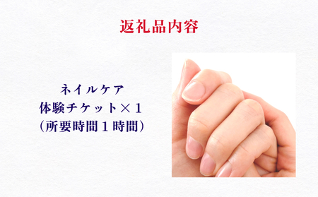 ネイル 基本 お手入れ ケア 体験 チケット ネイルサロン ネイリスト  爪 甘皮 甘皮処理 サロン デザイン