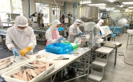 缶詰 いわし水煮・煮付け 180g×各5個セット 無添加 無着色 防災 長期保存 非常食 缶詰
