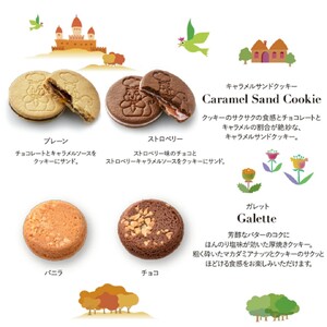shin 森のスイーツ工房 セレクト 35個入り[ シンケールス スイーツ 菓子 洋菓子 焼菓子 マドレーヌ フィナンシェ スフレ ガレット クッキー ギフト プレゼント 贈り物 詰め合せ 食べ比べ ]