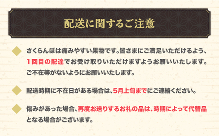 先行予約 さくらんぼ 佐藤錦 秀Lサイズ 500g バラ詰め 令和8年産 ns-snslb500