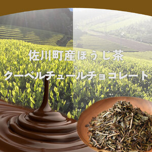 【ふるさと納税】＜半熟ショコラケーキ ほうじ茶＞焼き菓子 お茶 ギフト プレゼント 化粧箱入 グルテンフリー 職人手作り パティシエ 着色料・保存料不使用 【冷凍】高知県 佐川町 おかしの家Repos(ルポ)