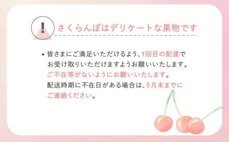 先行予約 さくらんぼ 紅秀峰 秀Lサイズ 500g バラ詰め 令和8年産 ns-bsslb500
