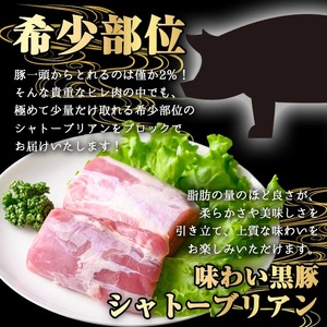 かごしま味わい 黒豚 希少部位 極み シャトーブリアン (600g)【KNOT】 A620